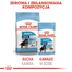 Royal Canin Maxi Puppy Hrană Umedă Câine 140 g