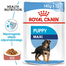Royal Canin Maxi Puppy Hrană Umedă Câine 140 g