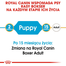 ROYAL CANIN Boxer Junior 3 kg