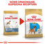 ROYAL CANIN Boxer Junior 3 kg