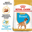 ROYAL CANIN Boxer Junior 3 kg