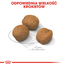 ROYAL CANIN Giant Puppy Hrană Uscată Câine 3,5 kg
