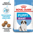 ROYAL CANIN Giant Puppy Hrană Uscată Câine 3,5 kg