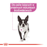 ROYAL CANIN Relax Care Hrana umedă pate, pentru câinii adulți expuși la stres,12 plicuri x 85 g