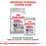 ROYAL CANIN Relax Care Hrana umedă pate, pentru câinii adulți expuși la stres,12 plicuri x 85 g
