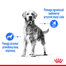 Royal Canin Medium Light Weight Care Adult hrana uscata caine pentru limitarea cresterii in greutate, 10 kg