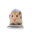 FERA Rucsac cu imprimeu, Hamster