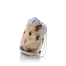 FERA Rucsac cu imprimeu, Hamster