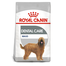 Royal Canin Maxi Dental Care Adult hrana uscata caine pentru reducerea formarii tartrului, 9 kg