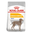 Royal Canin Maxi Dermacomfort hrana uscata caine pentru prevenirea iritatiilor pielii, 10 kg