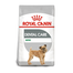 Royal Canin Mini Dental Care Adult hrana uscata caine pentru reducerea formarii tartrului, 8 kg