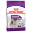 ROYAL CANIN Hrana uscata pentru cainii adulti de talie mare 30 kg (2 x 15kg)