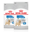 ROYAL CANIN CCN Mini Light Weight Care hrană uscată pentru câini adulți, rase mici cu tendință de supraponderabilitate16 kg (2 x 8 kg)