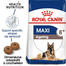 ROYAL CANIN Hrana uscata pentru caini 8+ , 30 kg (2 x 15 kg)
