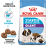 Royal Canin Giant Starter Mother & Babydog gestatie/ lactatie pui hrana uscata caine 30 kg (2 x 15 kg)