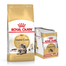 ROYAL CANIN Hrana uscata pentru pisici adulte rasa Maine Coon 10 kg + hrana umeda Mainecoon 12x85 g