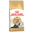 ROYAL CANIN Persian Adult 20 kg (2 x 10 kg) hrană uscată pentru pisici persane adulte