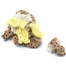 MACED BIscuiti MIX pentru caini, 10 kg