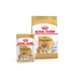 ROYAL CANIN Pomeranian Adult 1.5 kg hrană uscată pentru câini mini spitz adulți + hrană umedă 12x85g