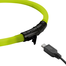 HUNTER LED Yukon Zgarda cu led pentru caini 20-70cm, lime