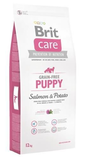 BRIT Care Grain-Free Puppy Salmon & Potato 12 kg