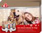 8IN1 Calendar Advent cu recompense pentru caini