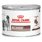 ROYAL CANIN Vet Dog/Cat Recovery 195 g hrana umeda dietetica pentru caini/pisici dupa interventii chirurgicale, in perioada de convalescenta