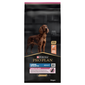 PURINA PRO PLAN Large Athletic Adult Sensitive Skin hrana uscata caini adulti de talie mare, cu somon 14 kg