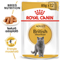 Royal Canin British Shorthair Adult hrana umeda pisica, 12 x 85 g